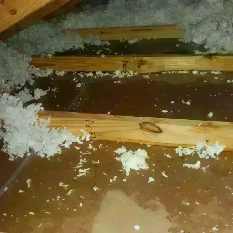 Attic Water Damage in DeKalb County, IN