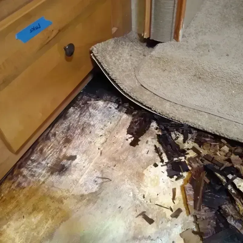 Wood Floor Water Damage in DeKalb County, IN